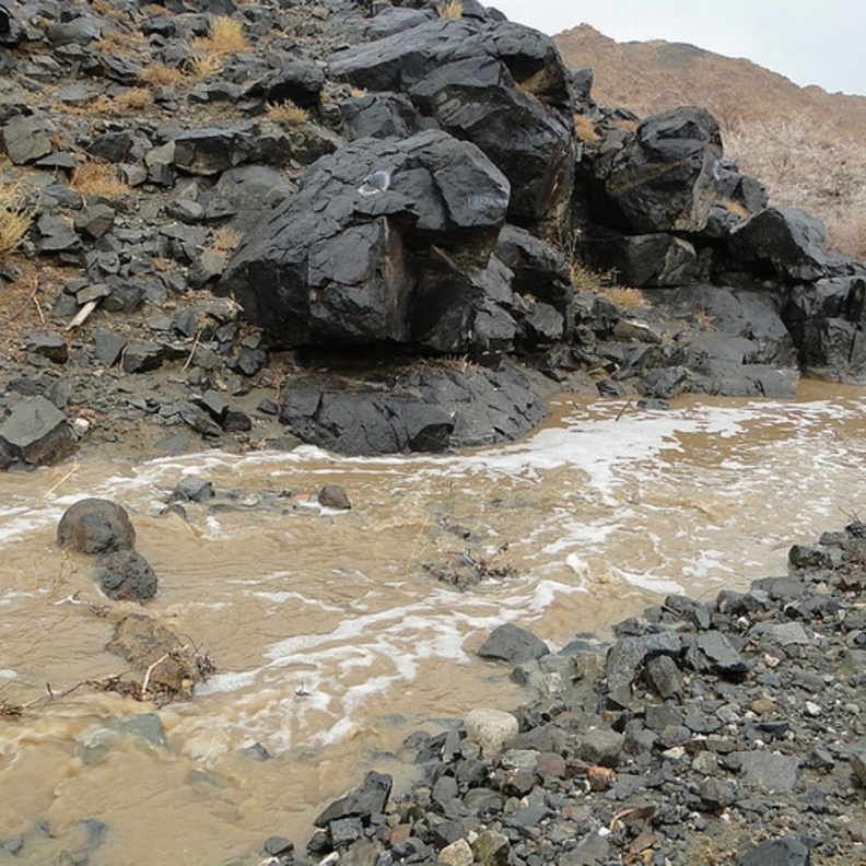 وادي عرضة