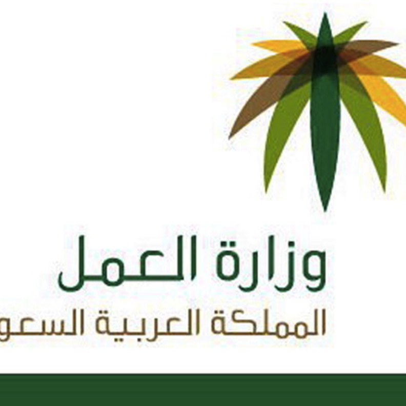 توظيف 160 ألف سعودية بالقطاع الخاص