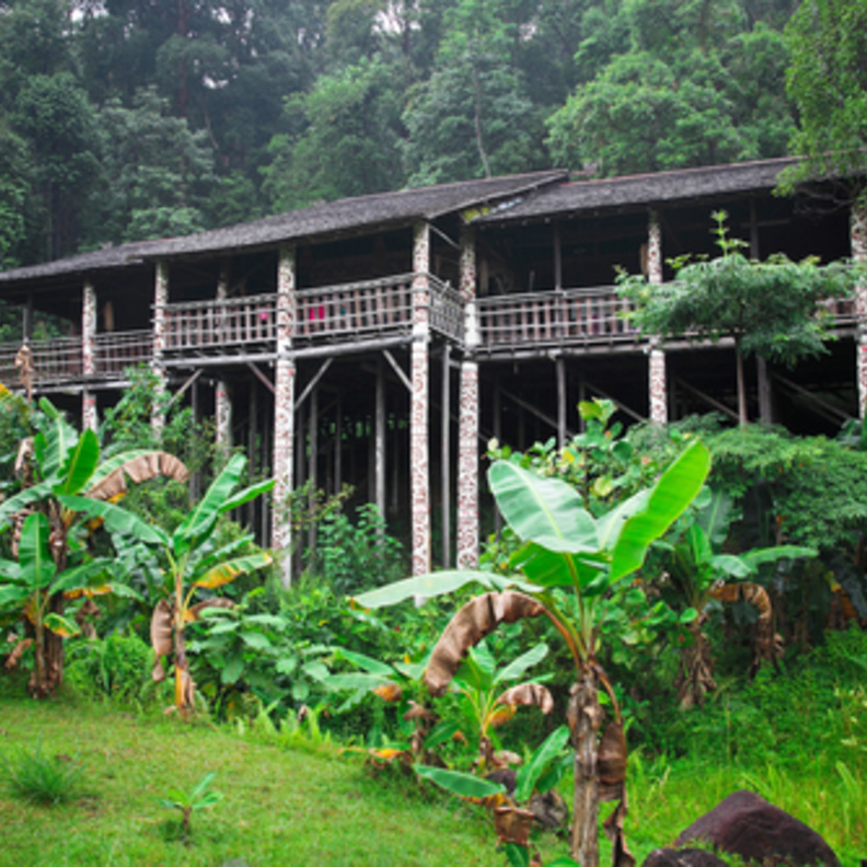 longhouse في بورنيو، البناء التقليدية
