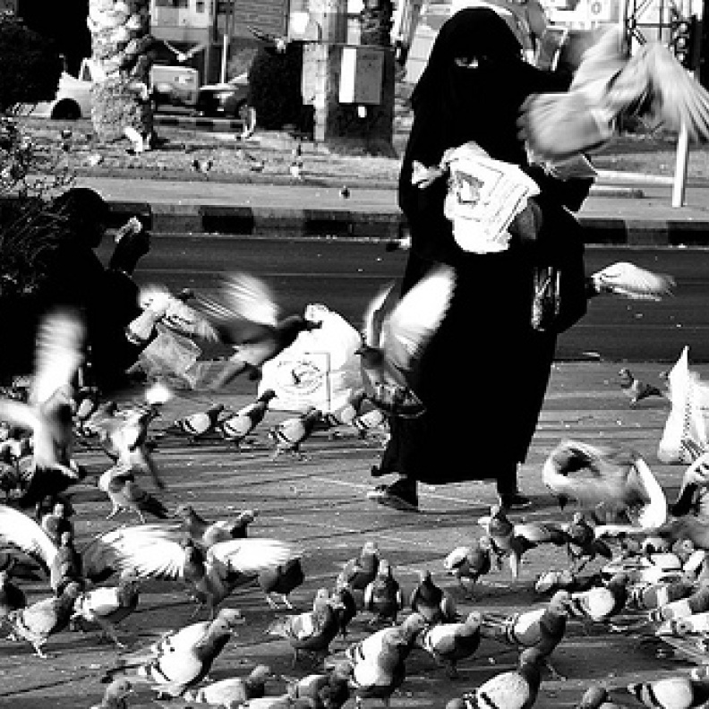 إحدى الصور بعدسة خلود الخالدي