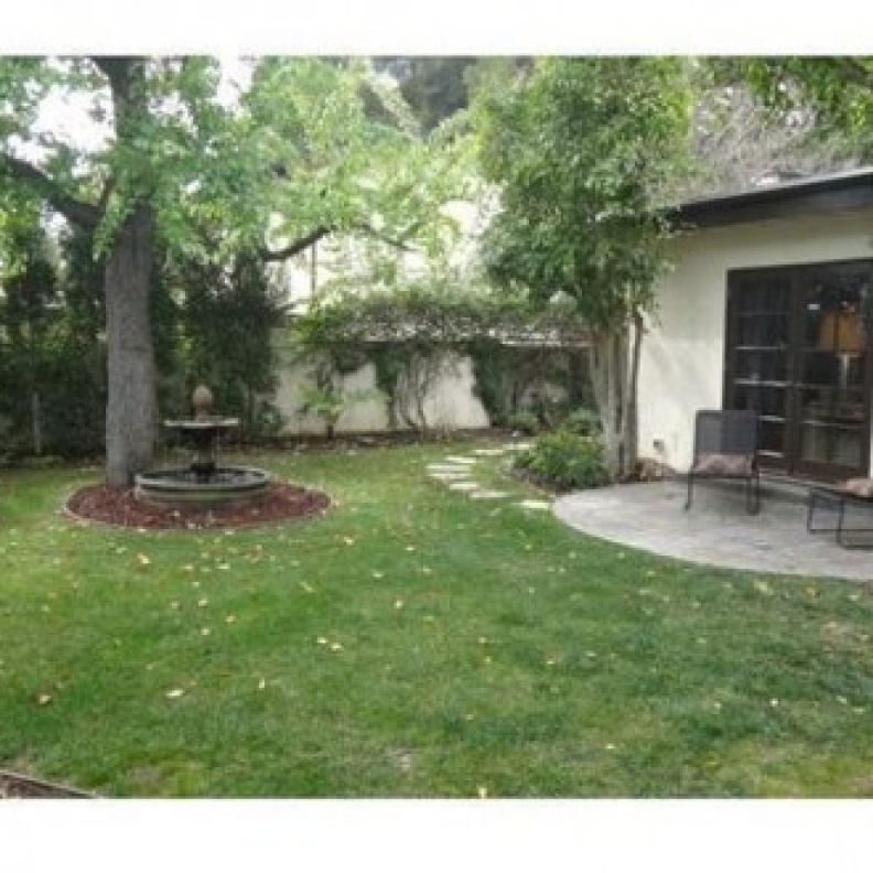 الحديقة الخلفية