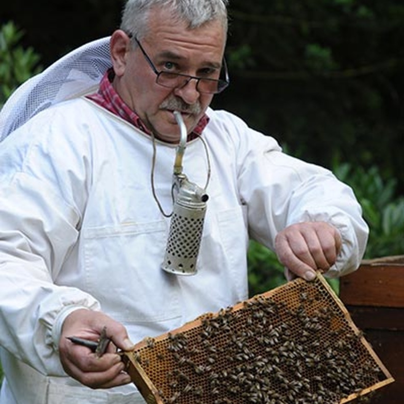 السيد كولب المسؤول الاول عن العناية بالنحل