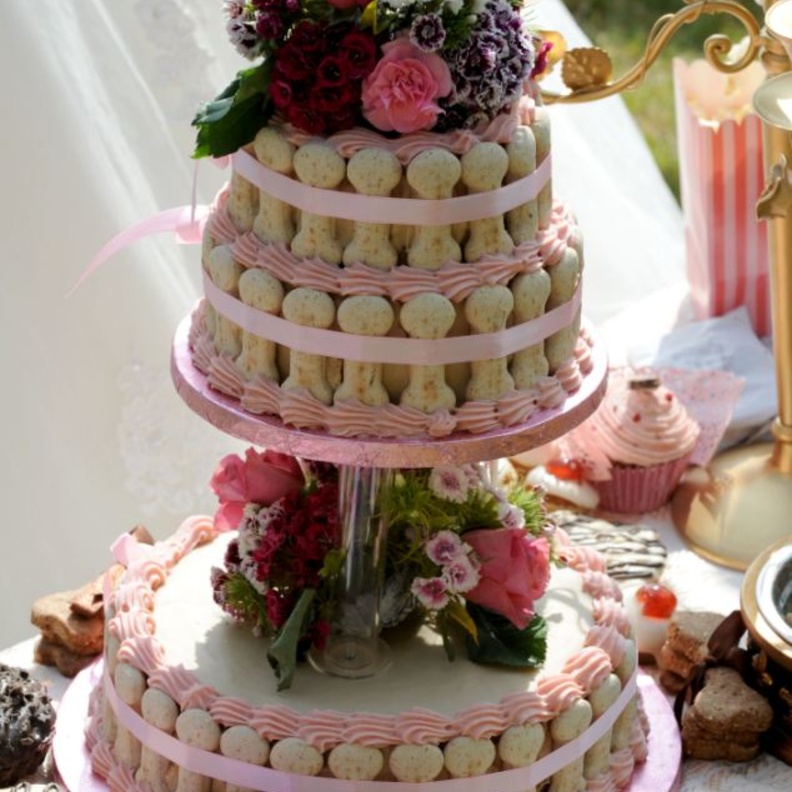 كعك مزين على شكل طعام الكلاب