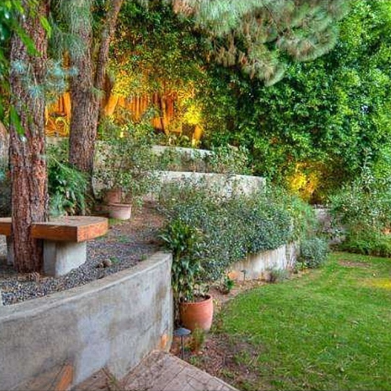 الحديقة الخلفية