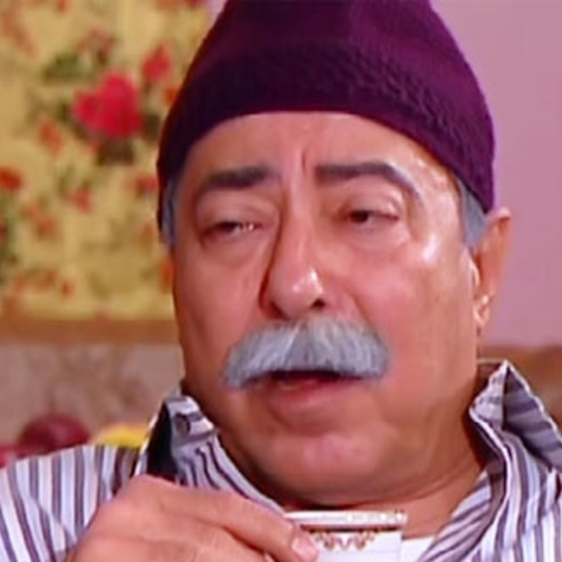 العمدة سليمان غانم