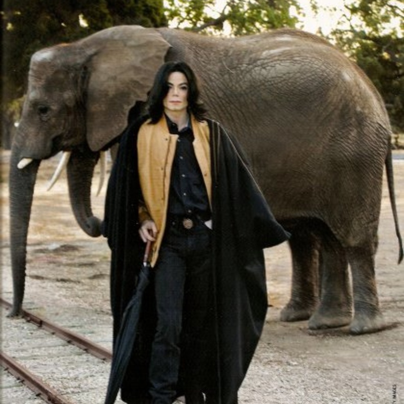 جاستن بيبر يحلم بشراء مزرعة مايكل جاكسون