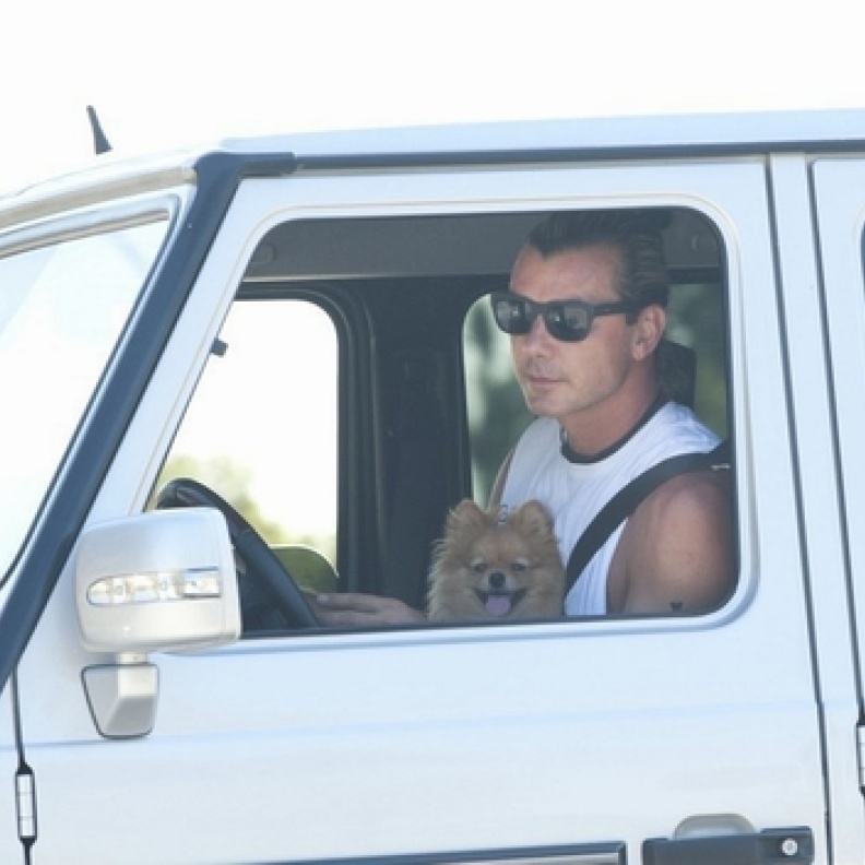 هل سيحصل نجم هوليوود Gavin Rossdale على مخالفة؟