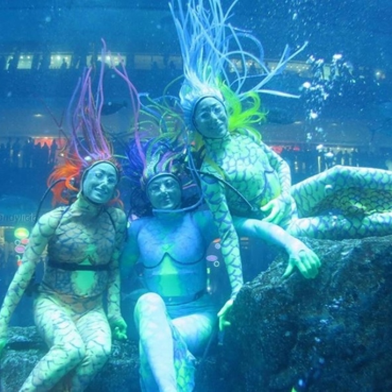 لقطة من عرض حوريات البحر في  دبي أكواريوم  في دبي مول