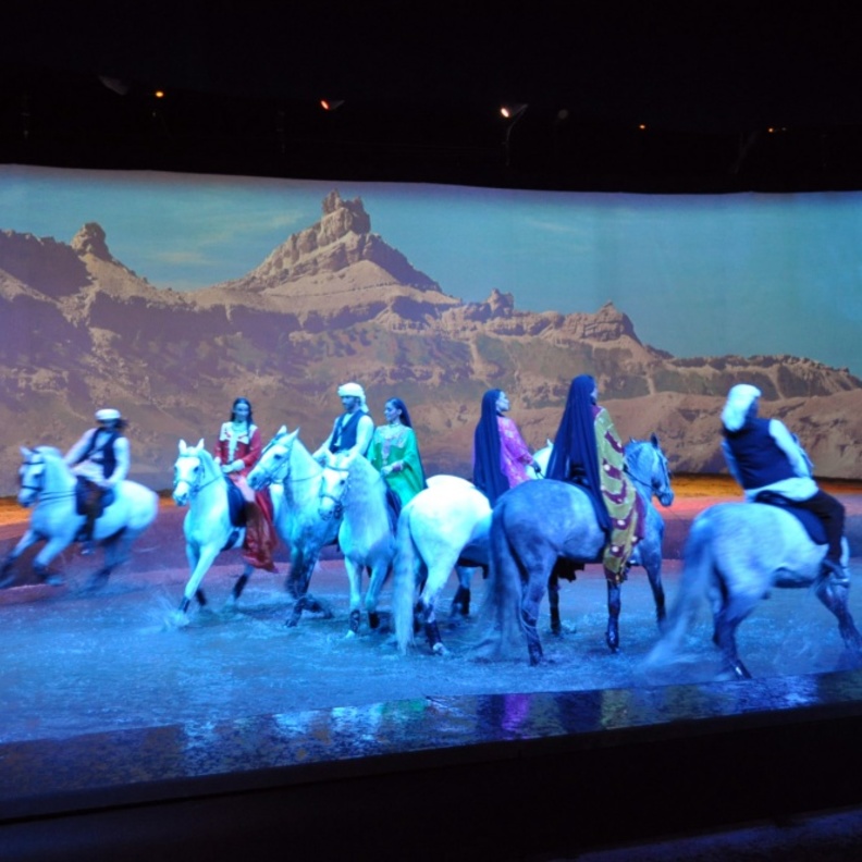 تناغم الحركات تدل على التدريب المتقن للأحصنة