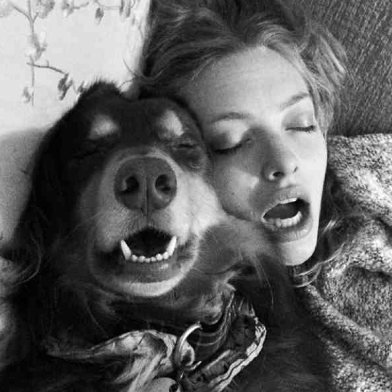  أماندا سايفريد مع كلبها فى عيد ميلاده الخامس