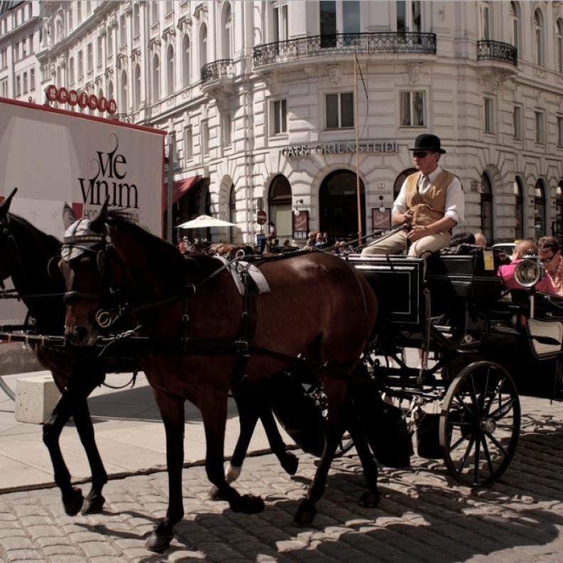 بالفيديو: جولة على عربة الخيول في قلب مدينة فيينا 