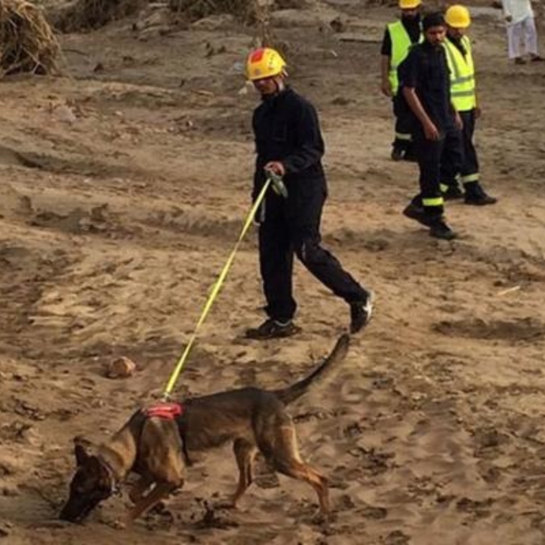 كلاب بوليسية للبحث عن طفلتين غرقت أسرتهما بوادي طريف