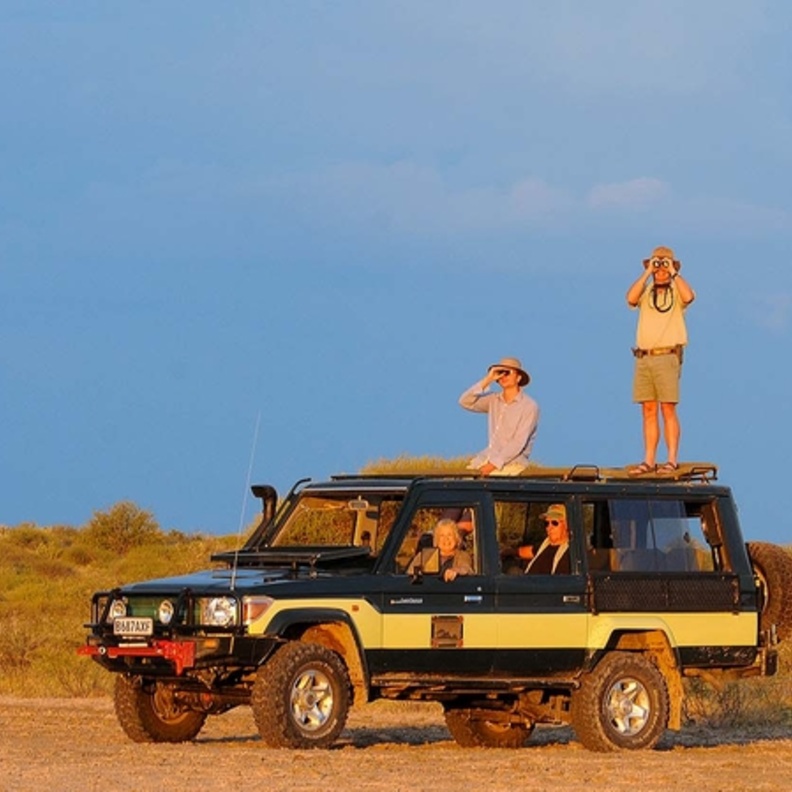 وجهات سياحية للراغبين بمشاهدة الحيوانات البرية