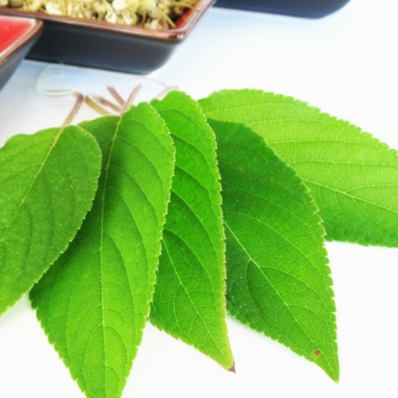 الاعشاب ستساعدك للتخلص من السموم والسوائل الزائدة .