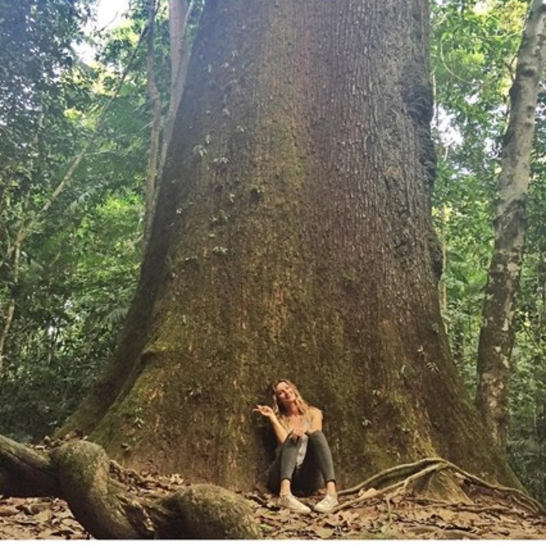 من مجموعة غوتشي كروز 