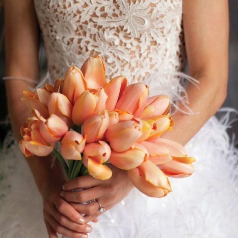 سنتربيس رائعة من زهرة التوليب تزين طاولات زفافك