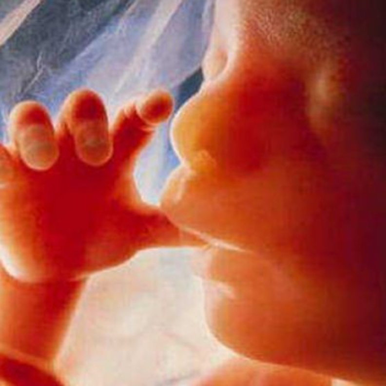 هل يستطيع الجنين التمييز بين صوت الرجل وصوت المراة