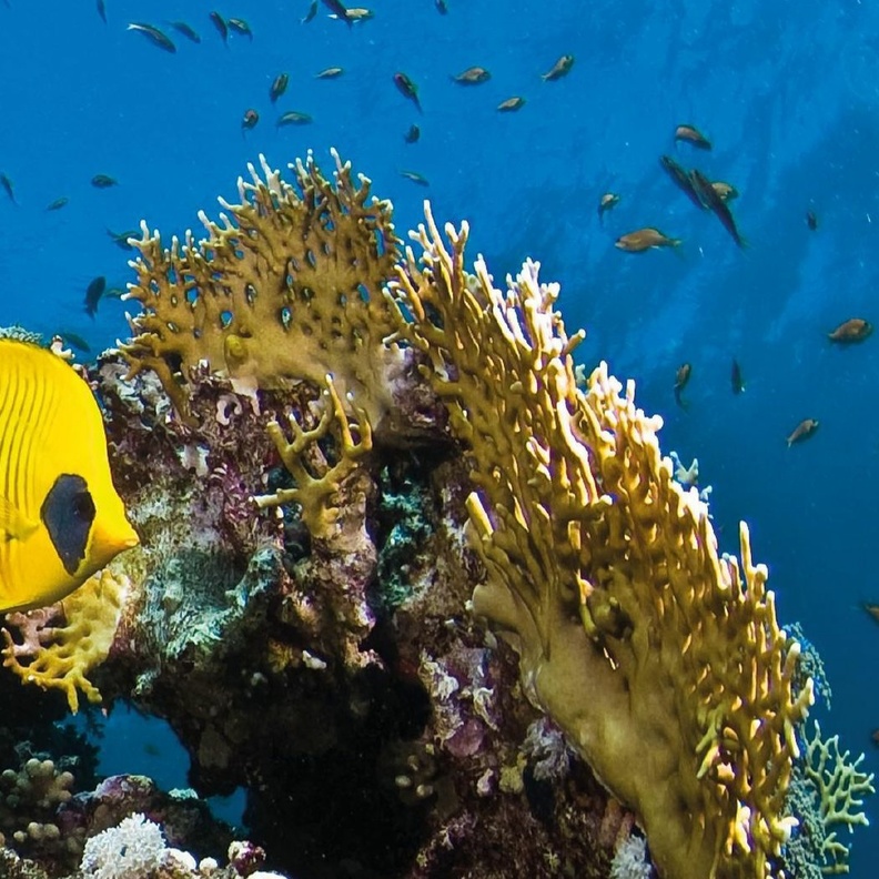 تعمل أمالا على توثيق وحماية التنوع البيئي في المنطقة