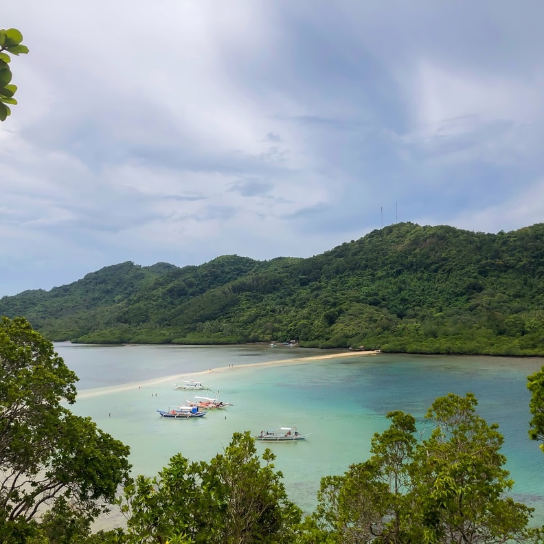 جزيرة الأفعى Snake Island Carla Francisco