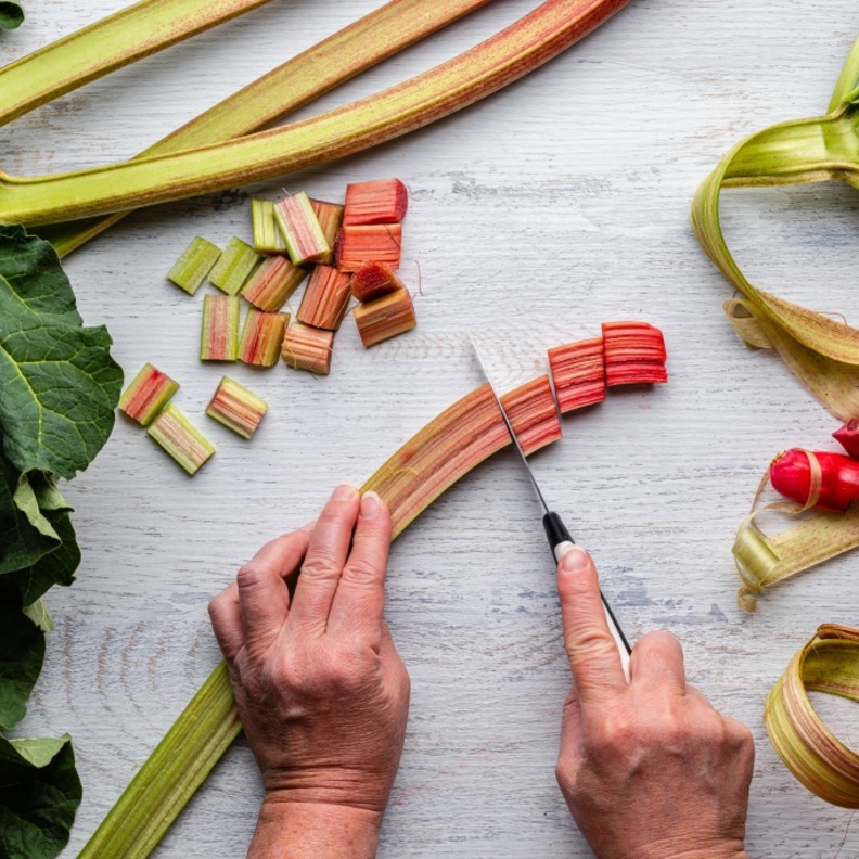  فوائد عشبة الراوند للكبد