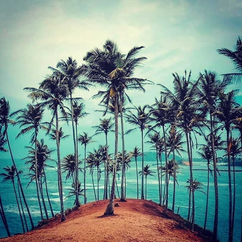 شاطئ ميريسا Mirissa Beach