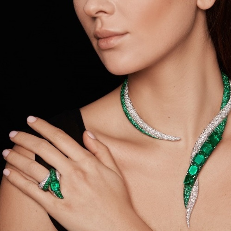 صورة من من فواز غرويوزي