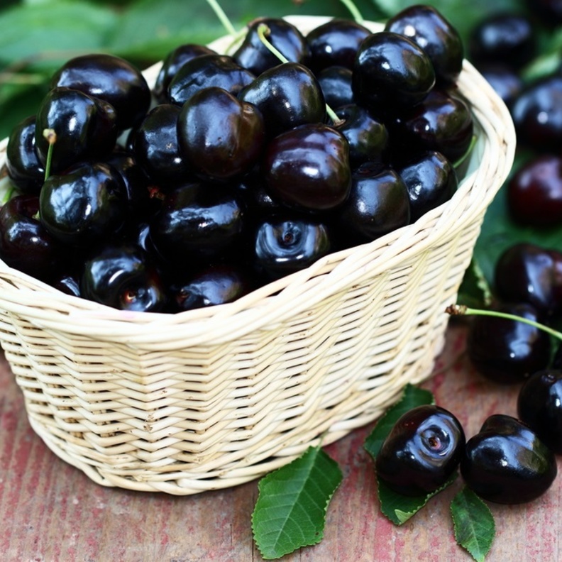 فوائد الكرز الاسود الصحية