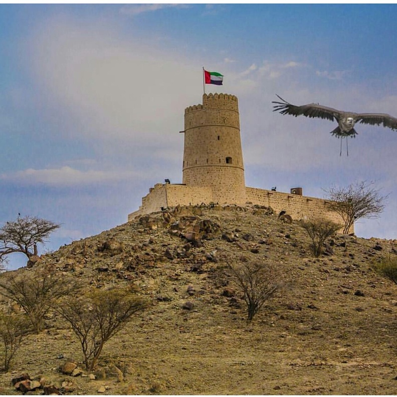  قلعة الغيل ولقطة ساحرة - المصدر yousifali191.