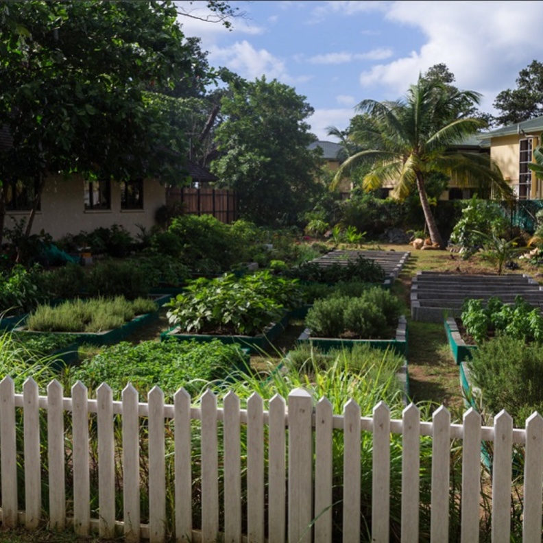 مجموعات ضيافة تعزّز مبادراتها المستدامة