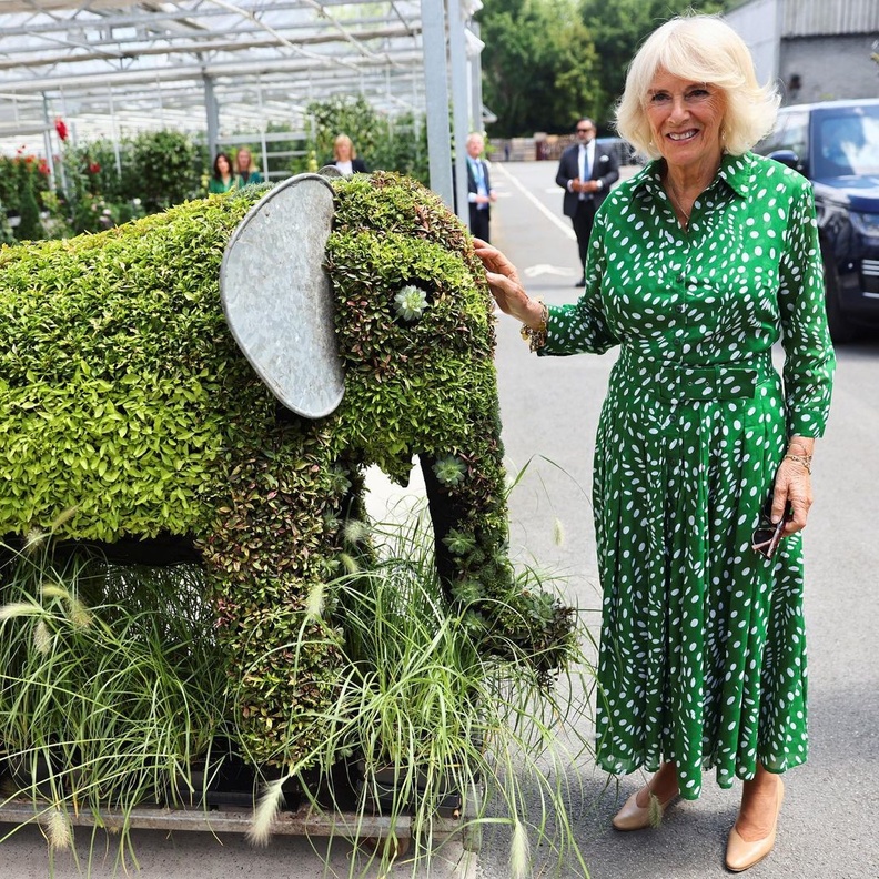 كاميلا وصوفي تتألقان بفستان متشابه