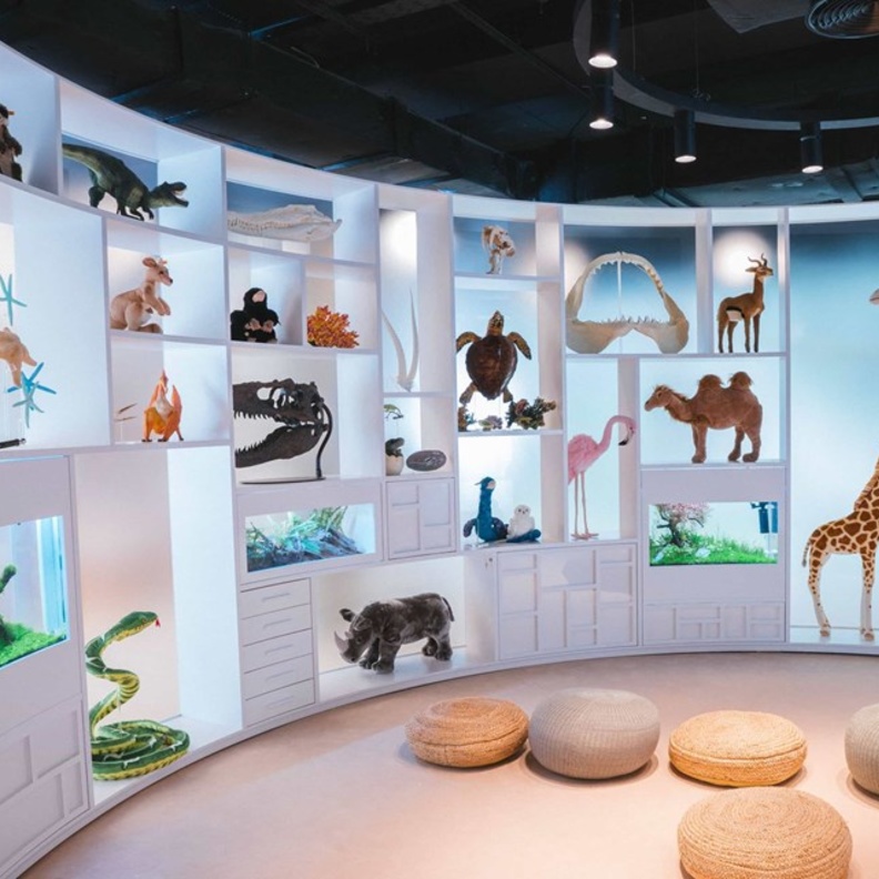 مكتبة أبوظبي للأطفال.. وجهة ثقافية مميزة ومساحات ترفيهية متنوعة للصغار