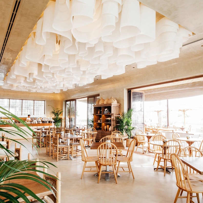 تاشاس.. مغامرة شهية بنكهة أفريقية من قلب دبي   - المصدر مطعم تاشاس