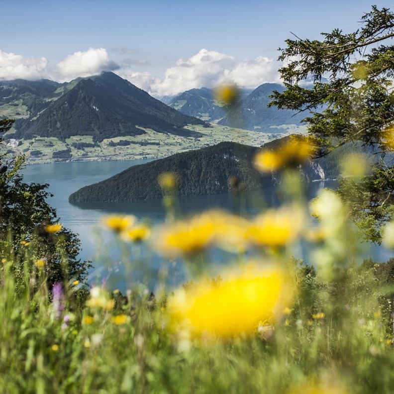  جبل "ريغي” الشامخ