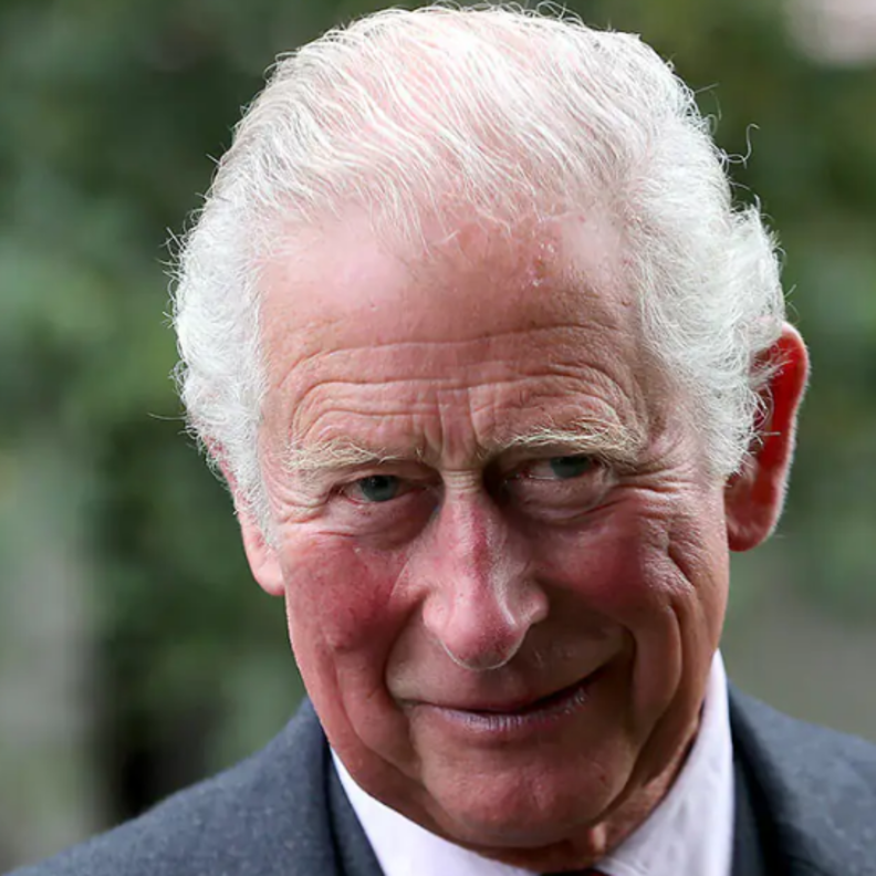 الأمير تشارلز يتحدث عن مشروعه الجديد