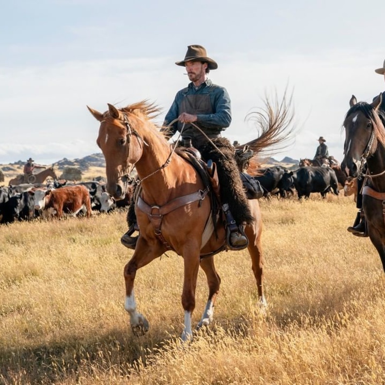 لقطة من فيلم The Power of the Dog