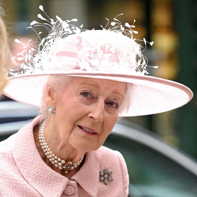 الأميرة الكسندرا تشارك في فعالية لتكريم القطاع الطبي لجهوده خلال الوباء