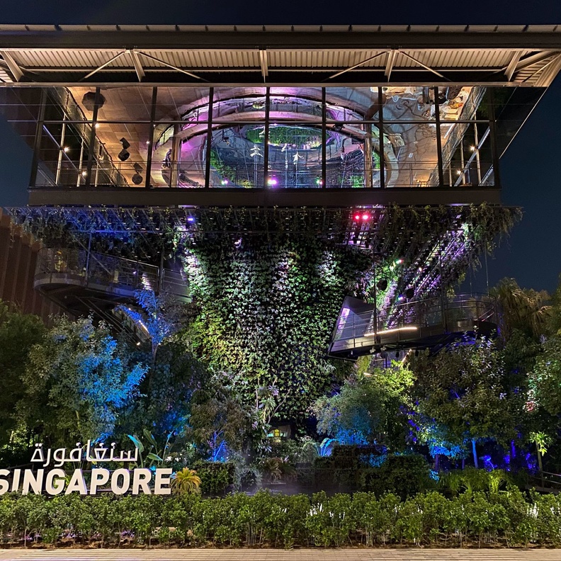 جناح سنغافورة في إكسبو 2020.. تصميم ساحر وألوان تأسر القلوب - المصدر وكالة أنباء الإمارات