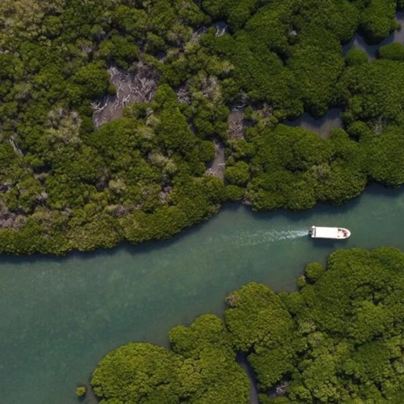 استكشف الطبيعة الخلابة في أرخبيل جزر فرسان - المصدر روح السعودية