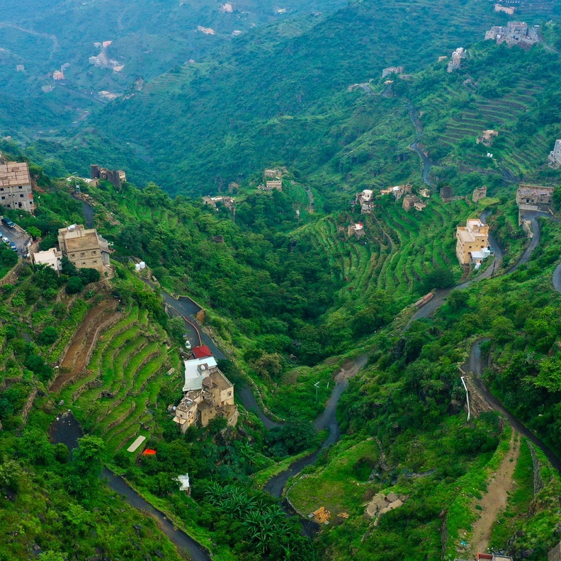  الخضرة ترسم أجمل اللوحات على سفوح جبال فيفا - المصدر @osvideographer