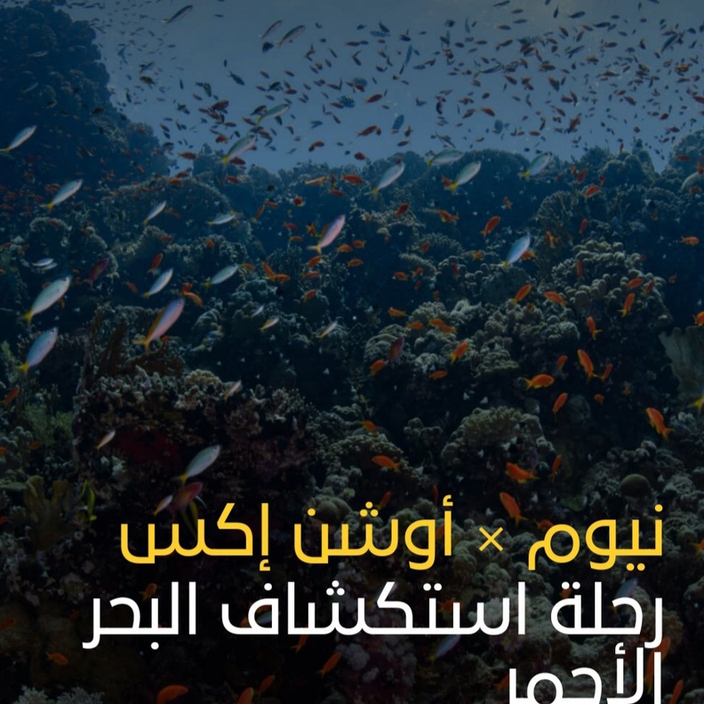 بالفيديو: شاهدوا رحلة "نيوم × أوشن إكس" لاستكشاف البحر الأحمر وكنوز وعجائب "نيوم" في الأعماق