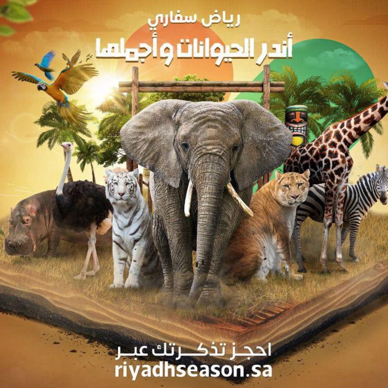 موسم الرياض يعلن إطلاق فعاليات "رياض سفاري" لمحبي المغامرات والطيور والحيوانات النادرة