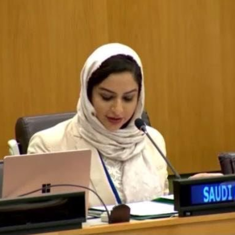 الكتابة والدبلوماسية نداء أبوعلي - المصدر حساب نداء في توتر