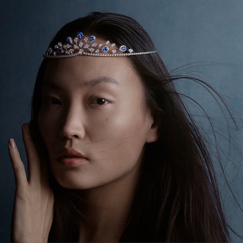 تاج oséphine Aigrette Impériale tiara من Chaumet