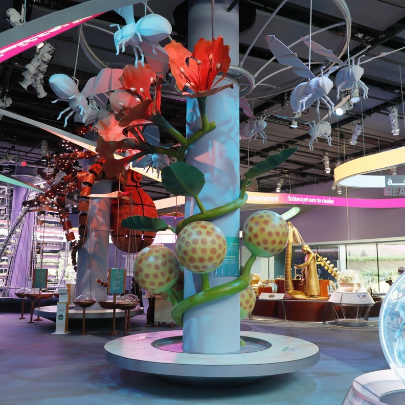 تجربة ساحرة تنتظر الزوار في تيرا - المصدر وكالة أنباء الإمارات 