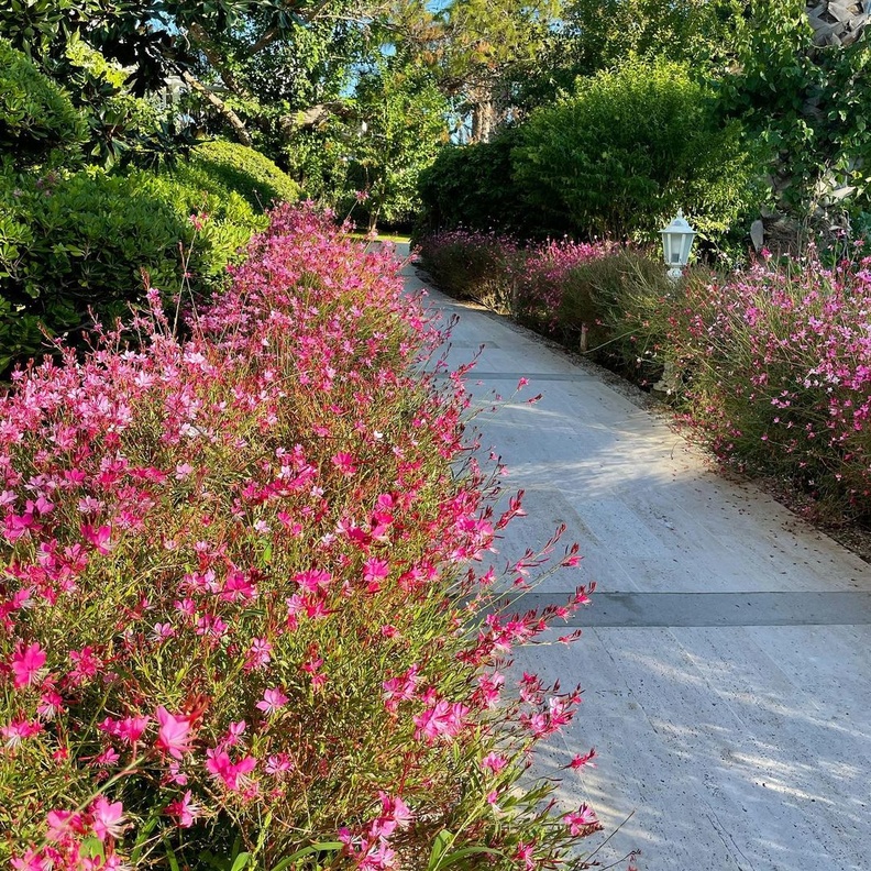 حديقة الملكة نور Queen Noor Park، الزرقاء