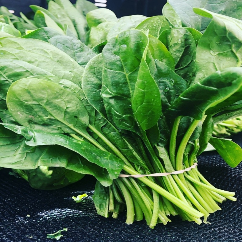 تناول السبانخ وعلاقته بسرطان القولون