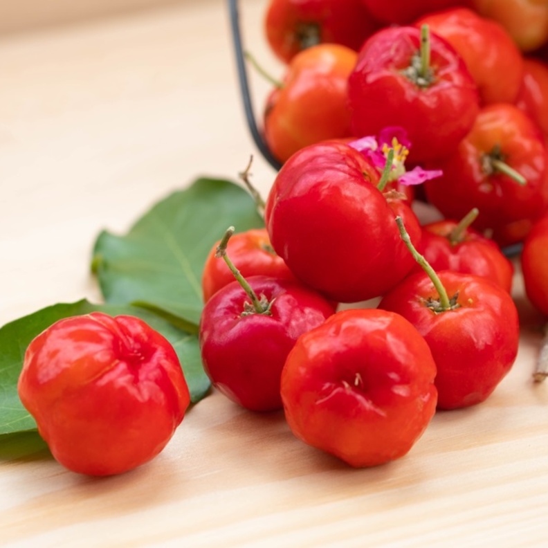 ماهي فوائد الكرز الهندي