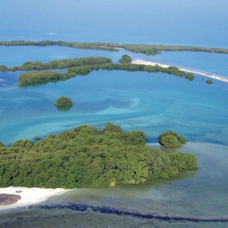 صورة ساحرة لمحمية مروح البحرية - المصدر ALshamsiaaaa.