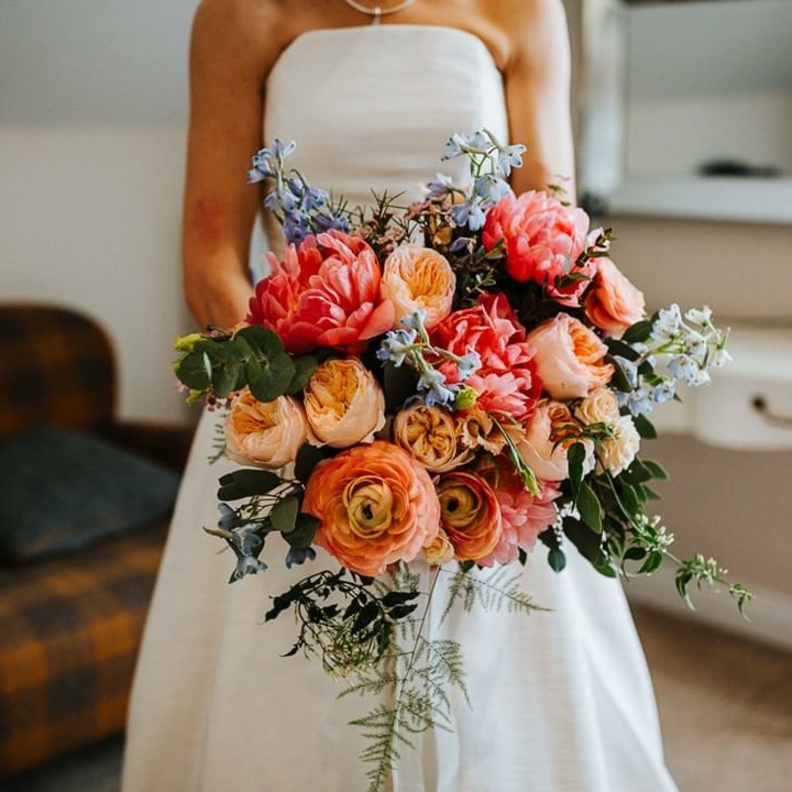 مرجاني + أبيض 