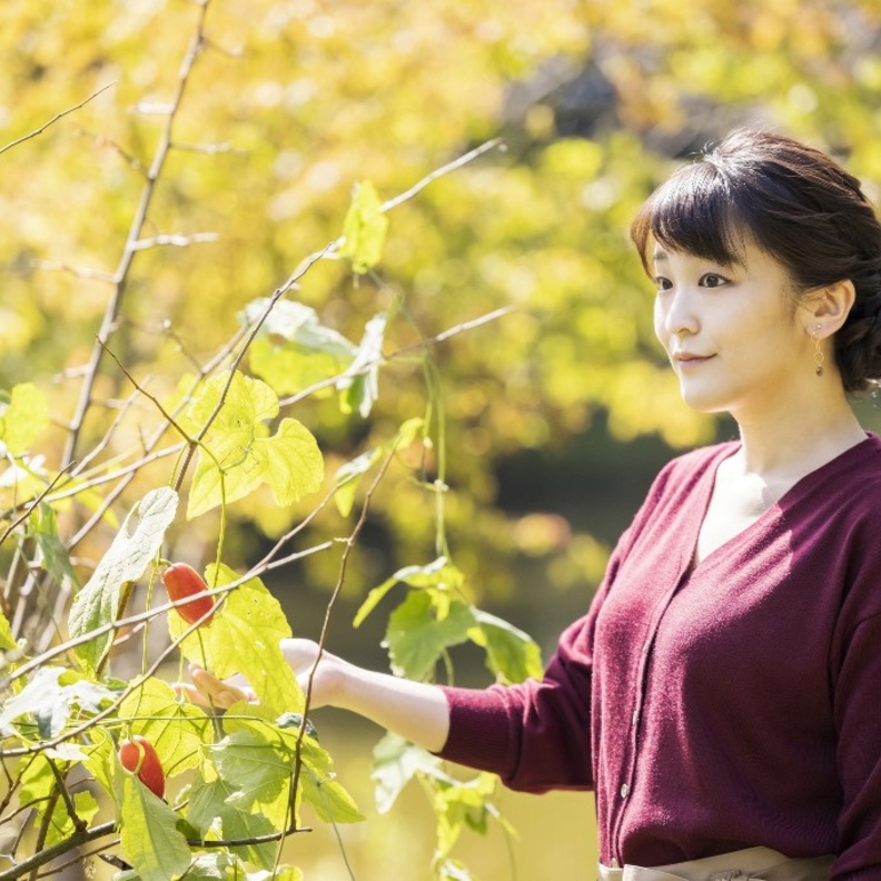من الملكية إلى زوجة من عامة الشعب.. قصة كفاح الأميرة اليابانية ماكو للزواج من حب حياتها